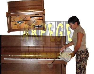 Accessoires pour outil de réglage de piano, Pièces pour accessoires de  piano