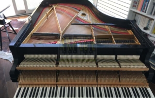 Grotrian-Steinweg 200