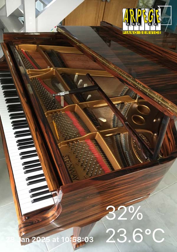 Accord et entretien d'un magnifique piano Steinway modèle O, finition "ébène de Macassar"